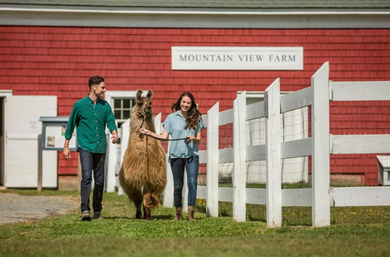 Mountain View Grand Resort & Spa Whitefield Esterno foto